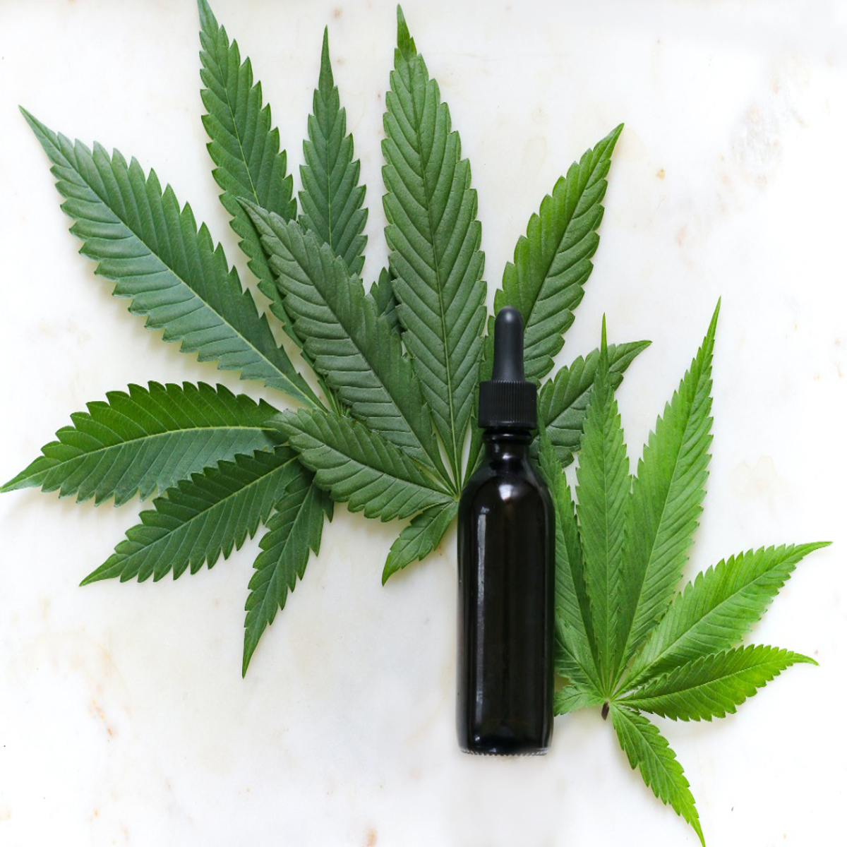 RPEB-Cannabis-3